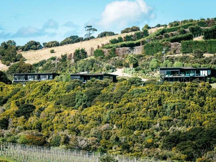 103 Church Bay Road Waiheke Island_16