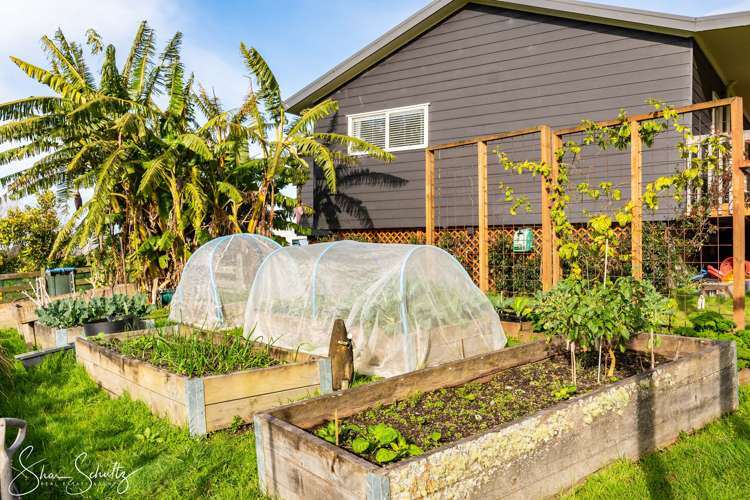 147 Petley Road Paparoa_34