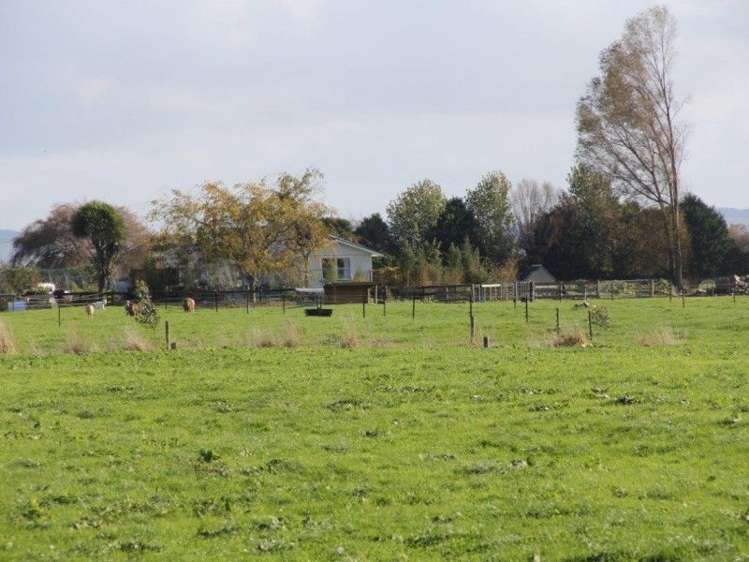 348 Bush Road Turua_9