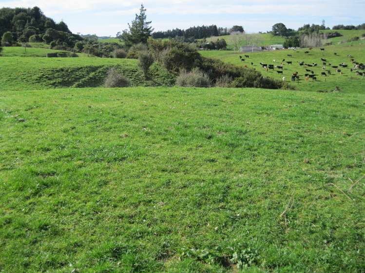 41 Leyland Road Whakamarama_5