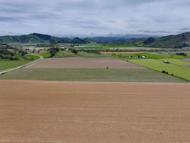 2057 Matawai Road Te Karaka_2