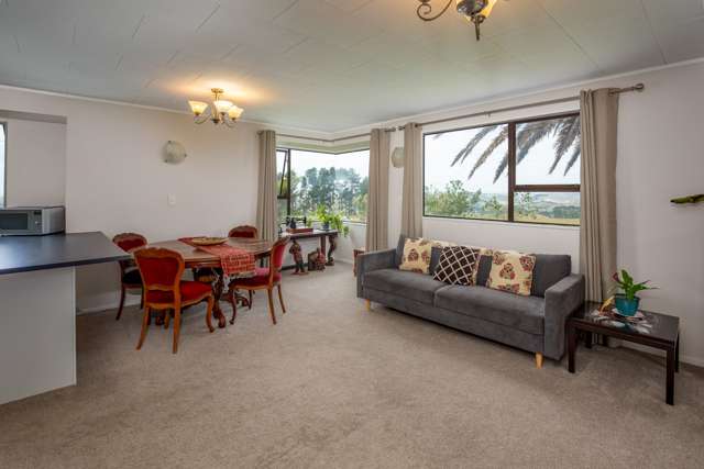 33 Arapoto Road Onewhero_4