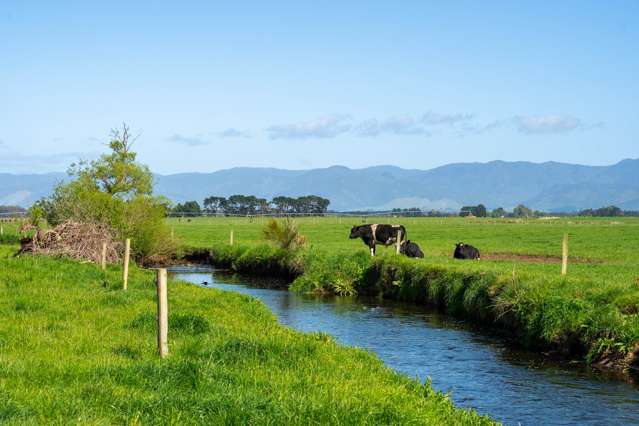 - Te Maire Road Featherston_3