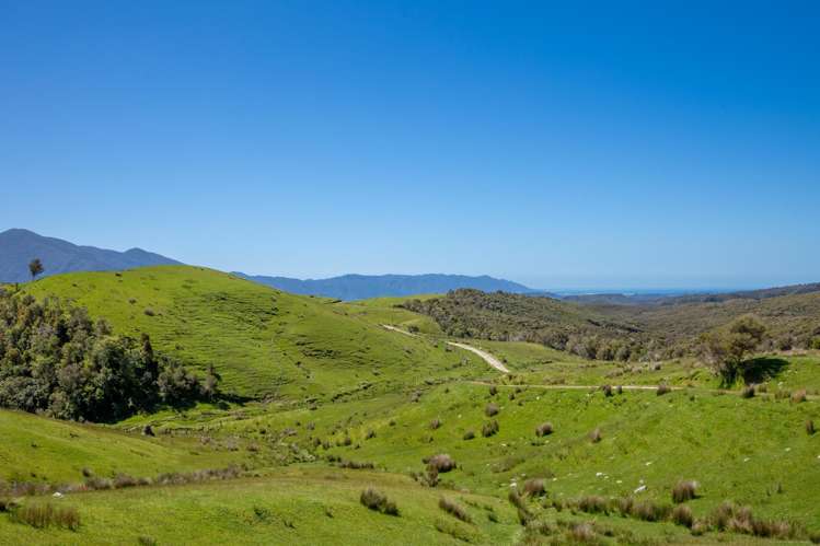 220 Quartz Range Road Bainham_16