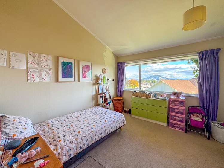 290 Douglas Avenue Te Awamutu_9