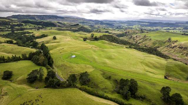 4332 Puketitiri Road Hastings Country_1