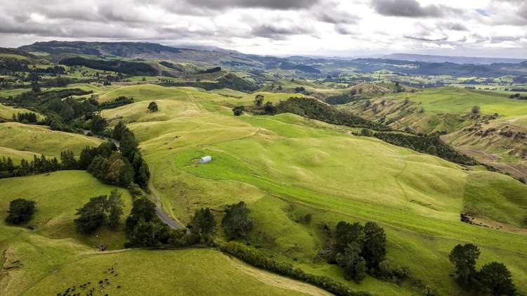 4332 Puketitiri Road Hastings Country_1