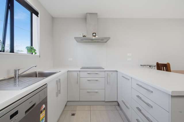 411A Armagh Street Linwood_2