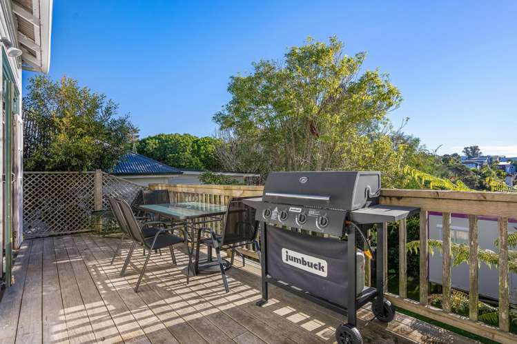 27 Wellpark Avenue Grey Lynn_18