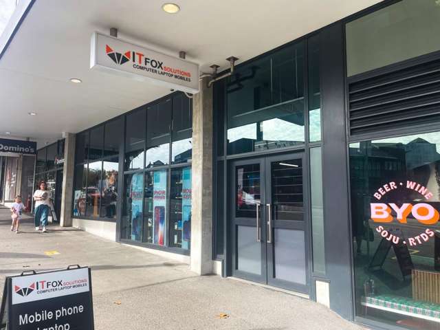 T5 | 4 Williamson Avenue Ponsonby_3