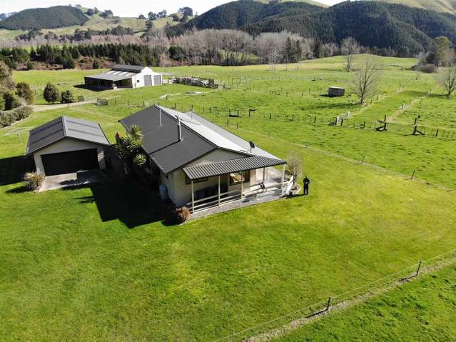 850 Te Kopia Road Waikite Valley_3