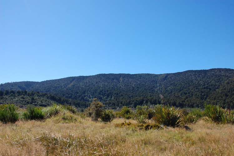 28 Erua Road National Park_17