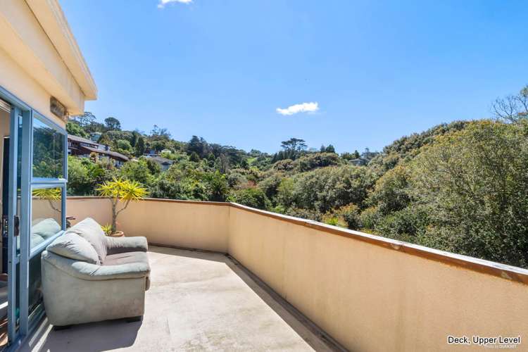 24a Hoskins Avenue Hillsborough_13