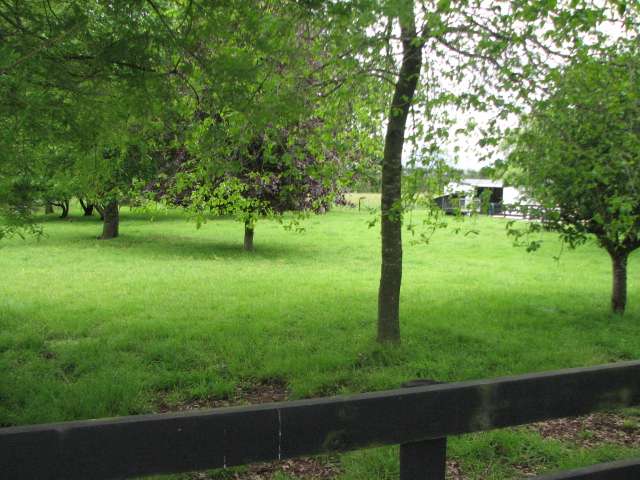 124 Paul Road Te Teko_2