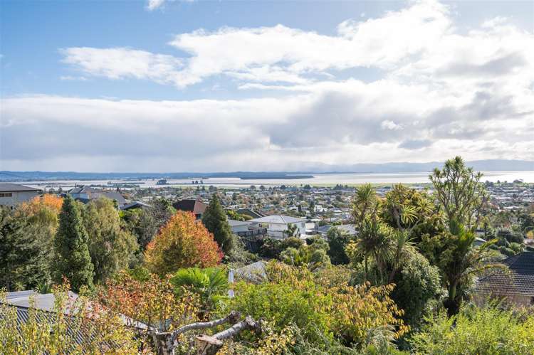 82 Arapiki Road Stoke_2