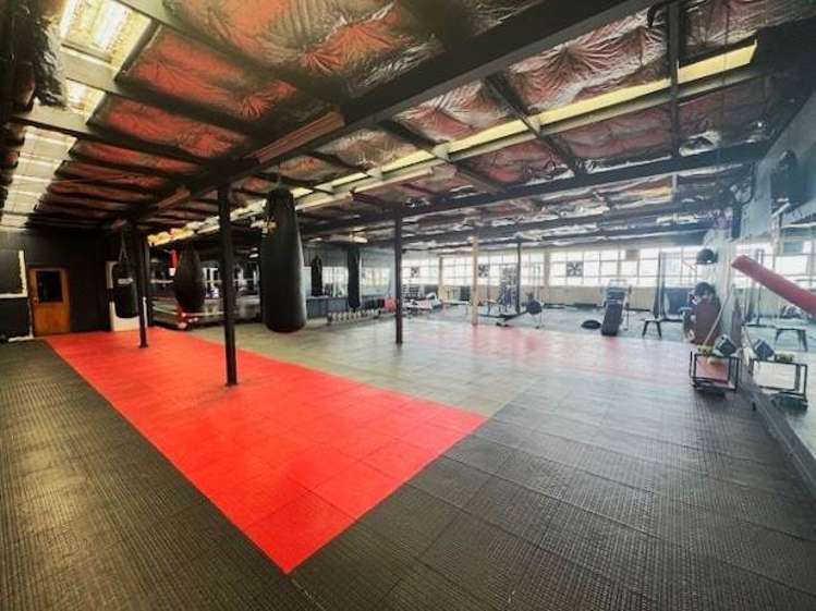 3-5 Rendall Place Eden Terrace_6