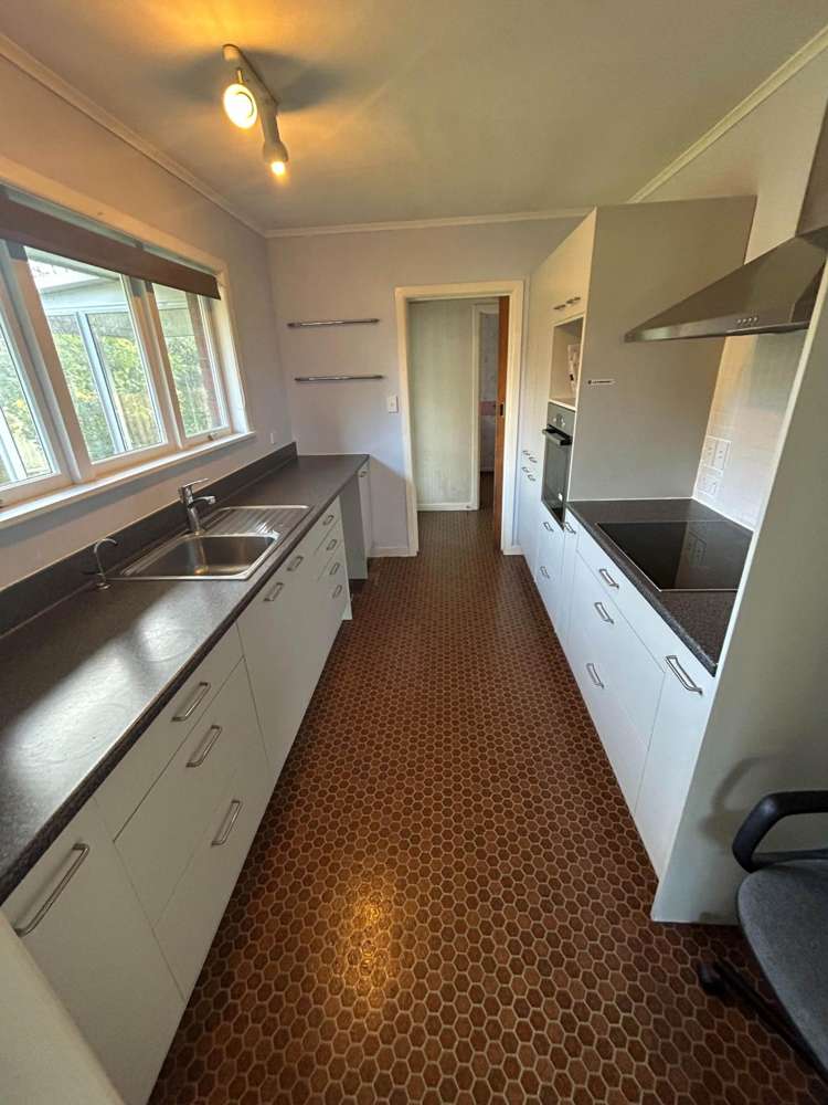 14 Williams Avenue Pakuranga_5