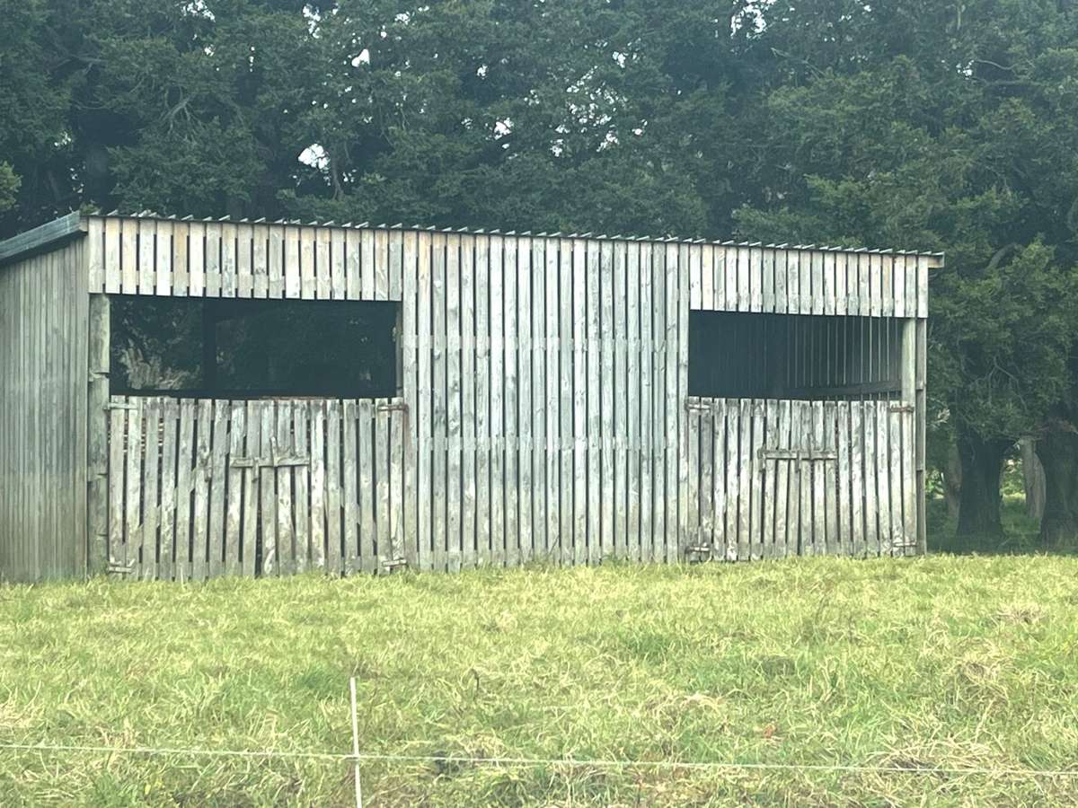 3567 Mangakahia Road_5