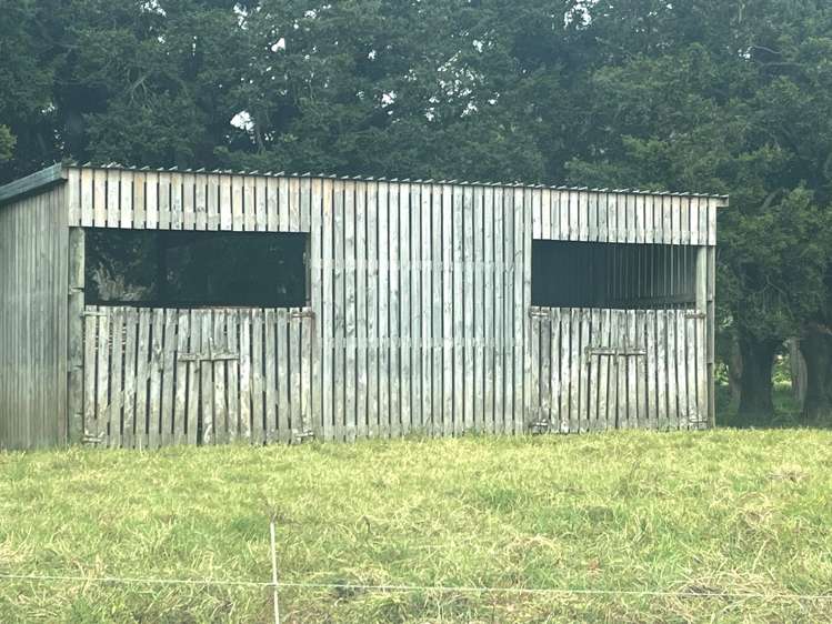 3567 Mangakahia Road Poroti_2