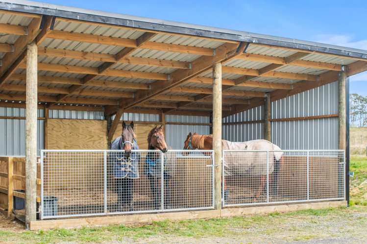 175A Stanners Road Kerikeri_12