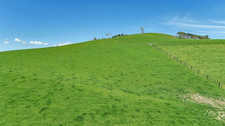 458 Parahi Road Ruawai_20