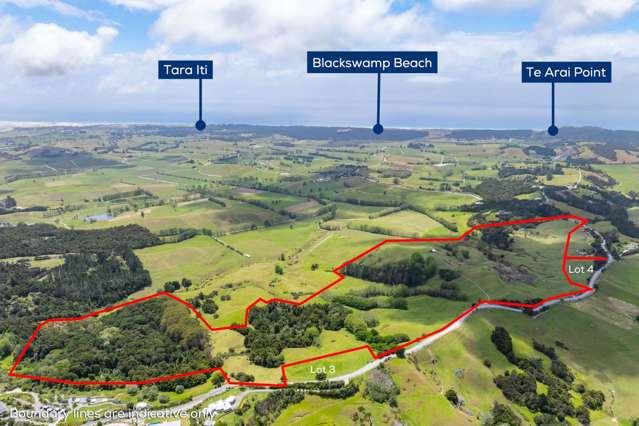 Lots 171 Te Arai Point Road Te Arai_2
