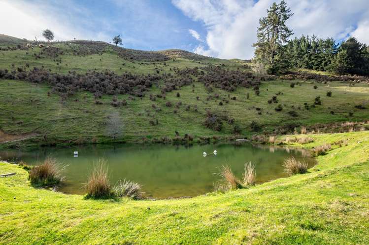 121 Win Valley Road Dovedale_16