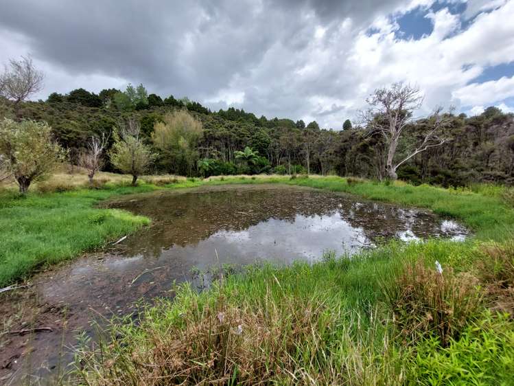 Lot 1/116 Bull Road Paparoa_1