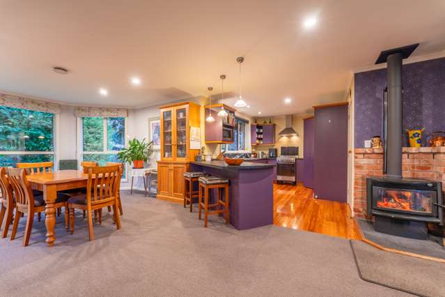 264 Talbot Street Geraldine_4