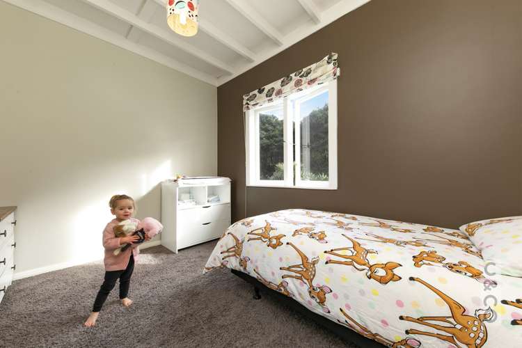 315 School Road Waimauku_6