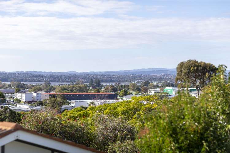 5/6 Lush Avenue Saint Johns_11