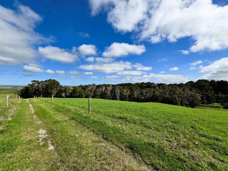 6320 State Highway 12 Dargaville_7