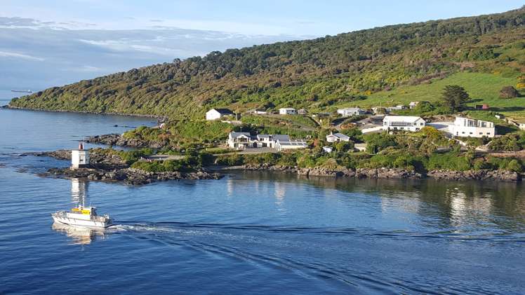 16 Ward Parade Bluff_18