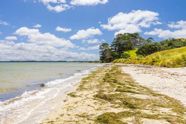 801 Burma Road Tapora_26