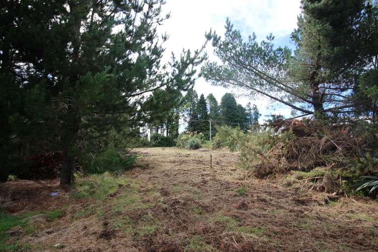 43 Mackenzie Street National Park_7