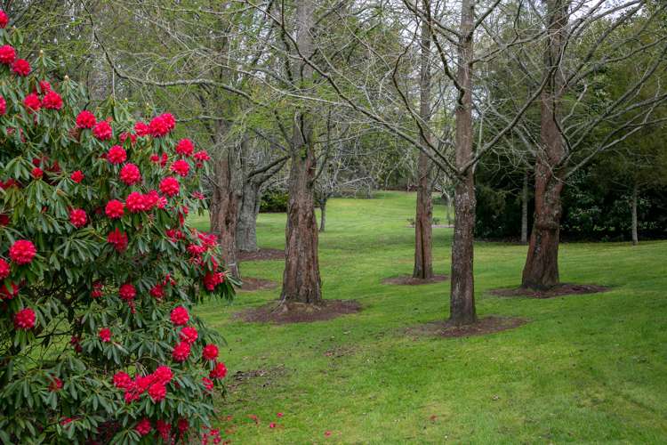 182 Thornton Road Cambridge_24