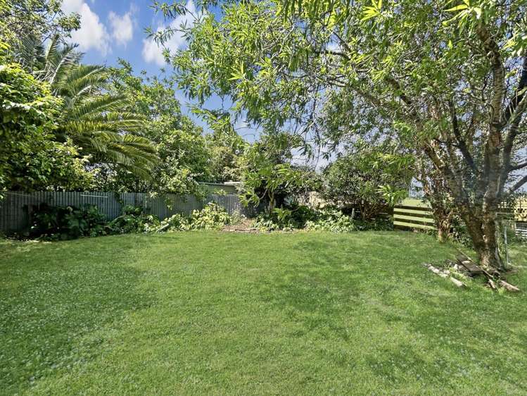 1456 Napier Road 10920_14