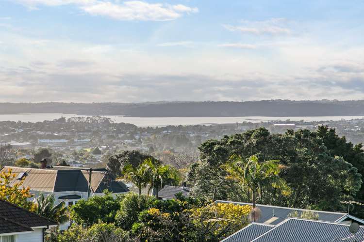 24 Summit Drive Mount Albert_4