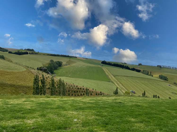 446 Skinner Road Clinton and Surrounds_6