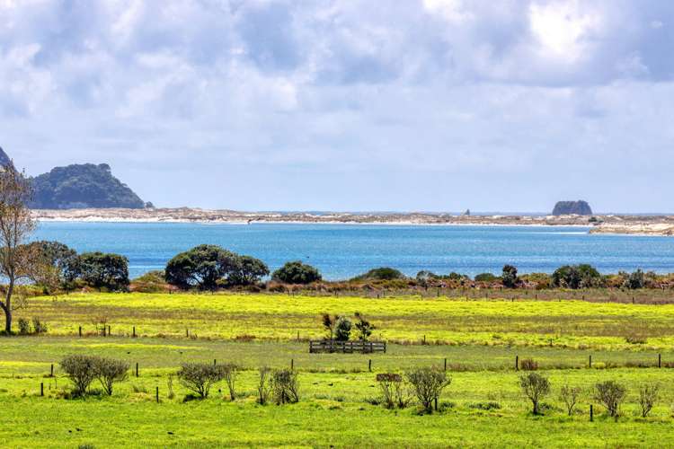 30 Tern Point Mangawhai_5