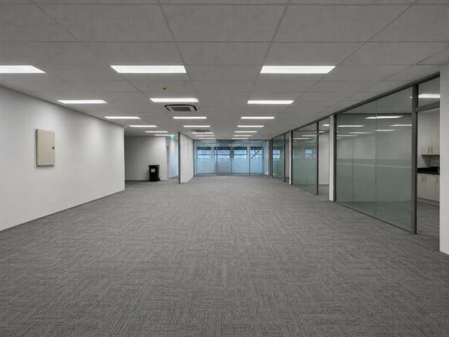 38 Fitzherbert Avenue City Centre_3