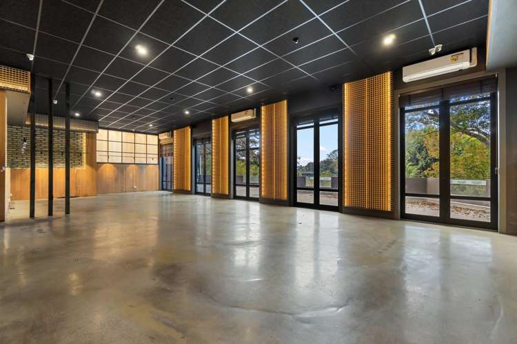 20 Alma Street Hamilton Central_1
