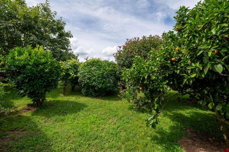 162 Rangatira Drive Mangakino_21