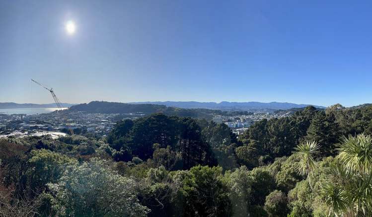 3 Asquith Terrace Brooklyn_1