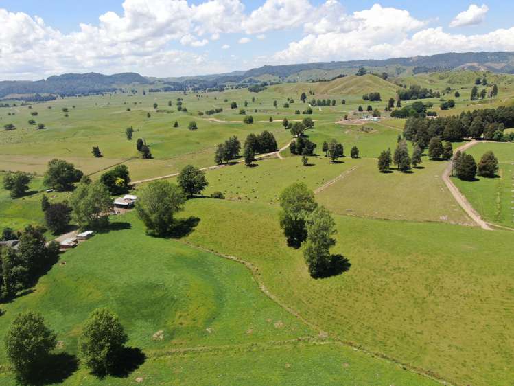 967 Ohura Road Aria_19