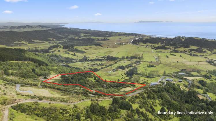 192 Manunui Road Leigh_7