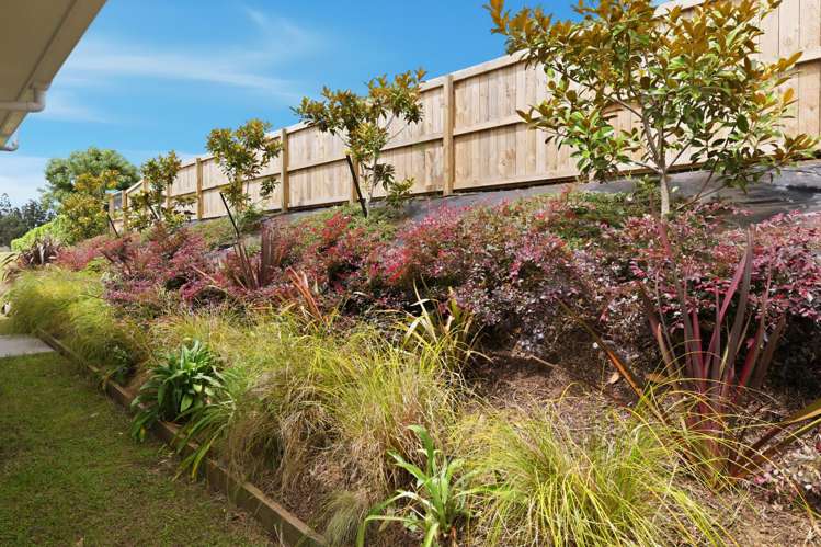 34 Crossley Street Katikati_15