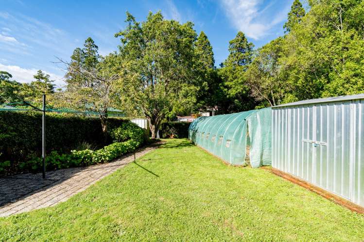 33 Tannadice Street Normanby_20