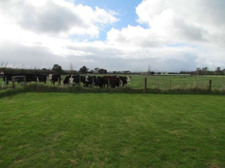 157 Awakino Point East Road Dargaville Surrounds_20