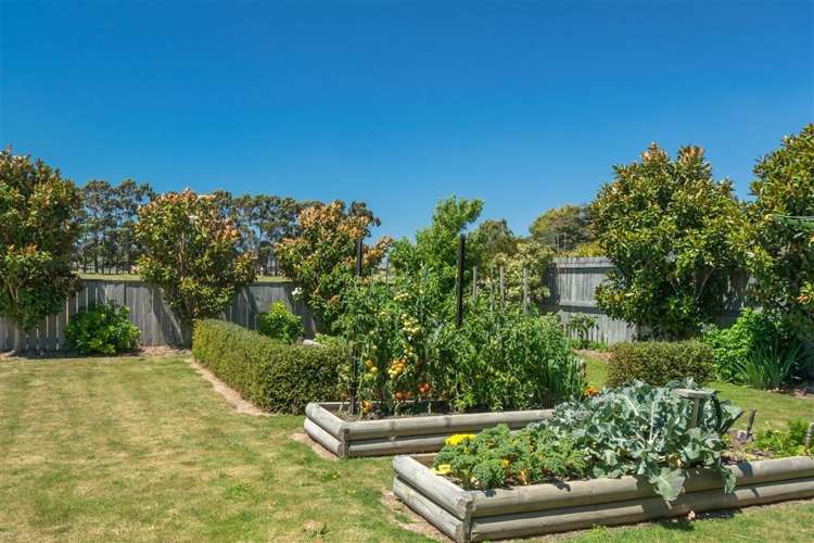 49 Tremorne Avenue Blenheim Central_22